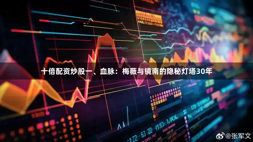 十倍配资炒股一、血脉：梅薇与镜南的隐秘灯塔30年